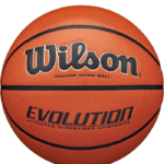 WILSON Evolution Indoor Game Basketballs